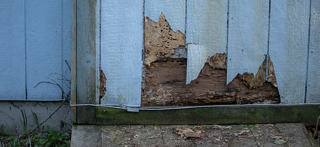 Water can cause severe damage to a home's siding