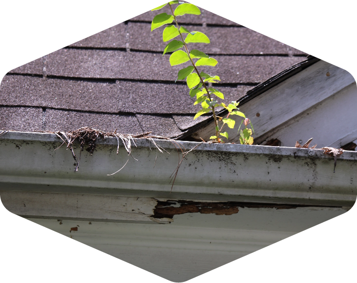 DOES YOUR HOME NEED ATTENTION
